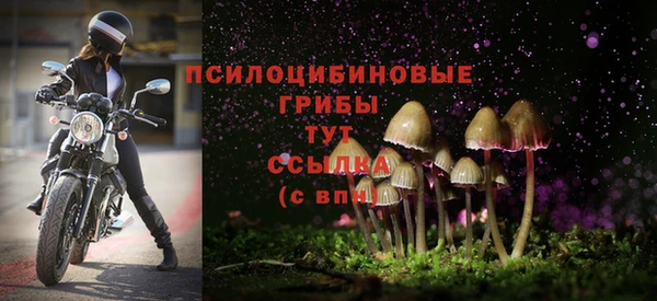 прущие крисы Арсеньев
