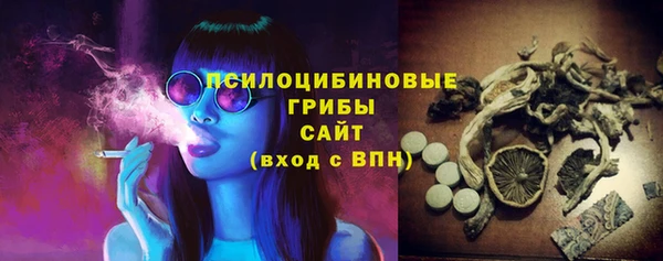 индика Балабаново