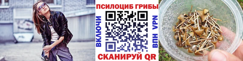 Галлюциногенные грибы прущие грибы Красный Сулин
